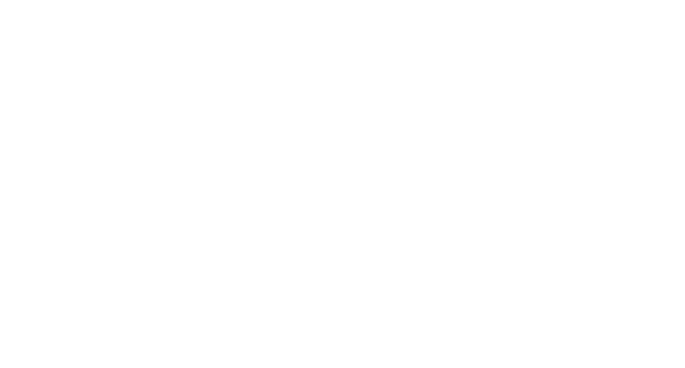 FURNEX Trading Co. Ltd. d.o.o.